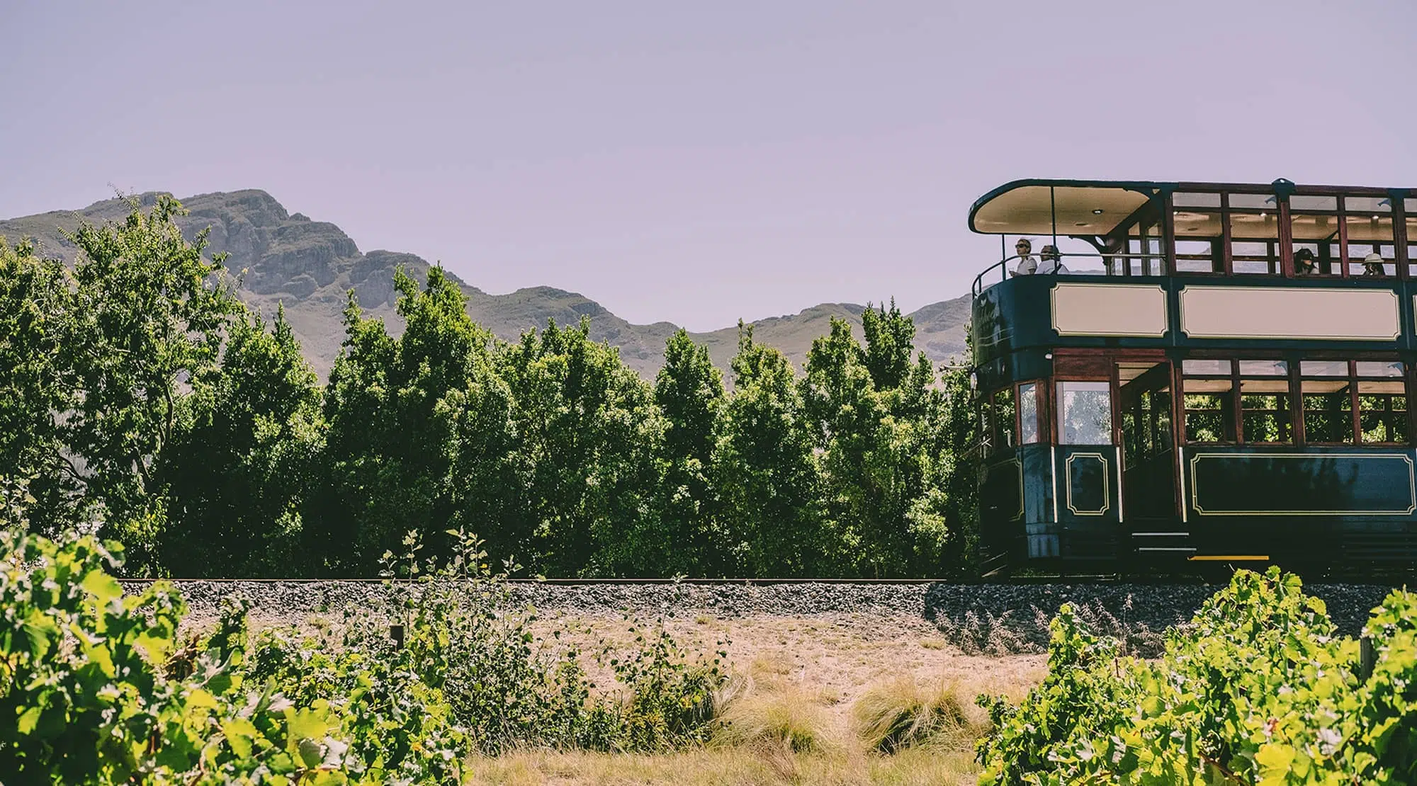 Discover South Africa's Garden Route