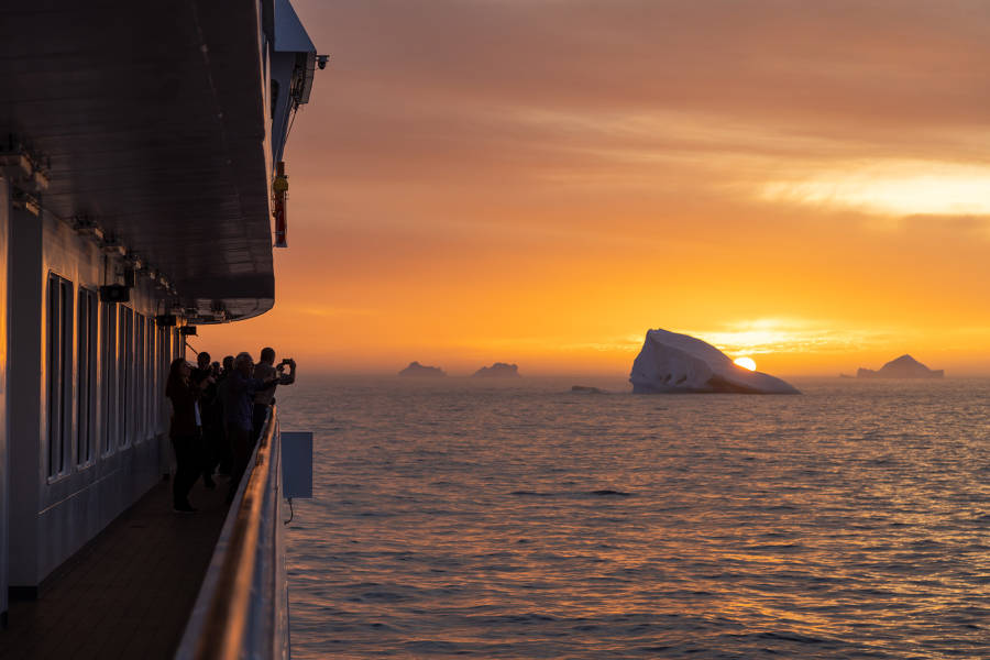 Penguins of the Far South: Falklands, South Georgia & Antarctica