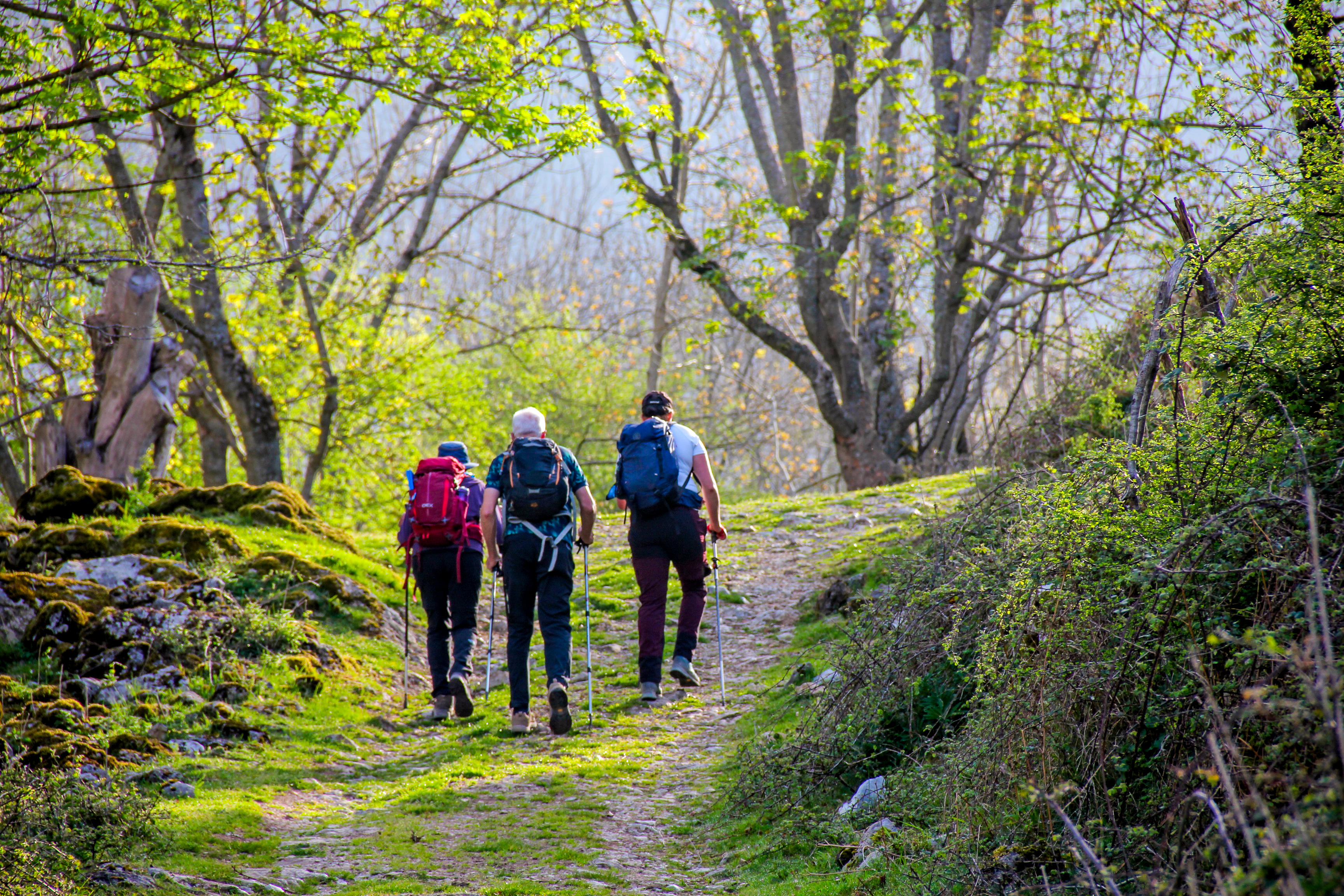 Hike Spain’s Picos de Europa