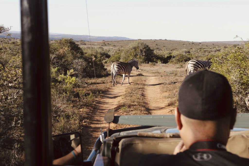 Best of Cape Town and the Garden Route
