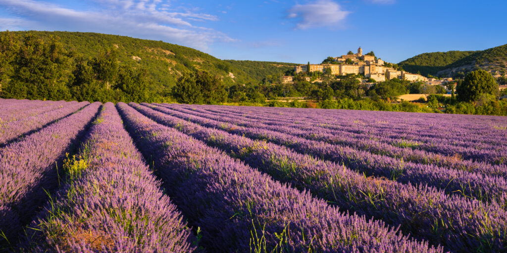 Discover Provence