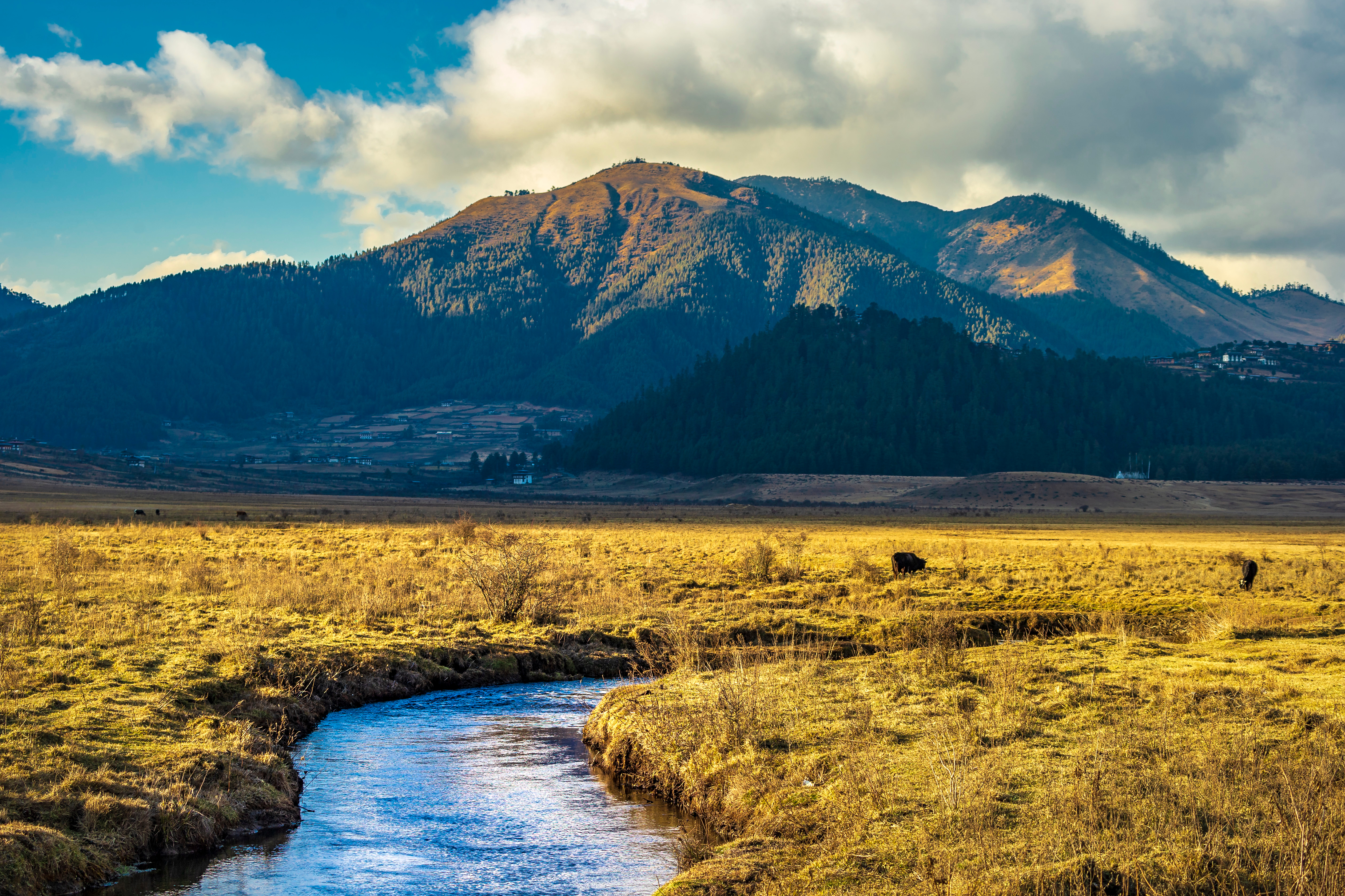 Festivals of Bhutan – Black Crane
