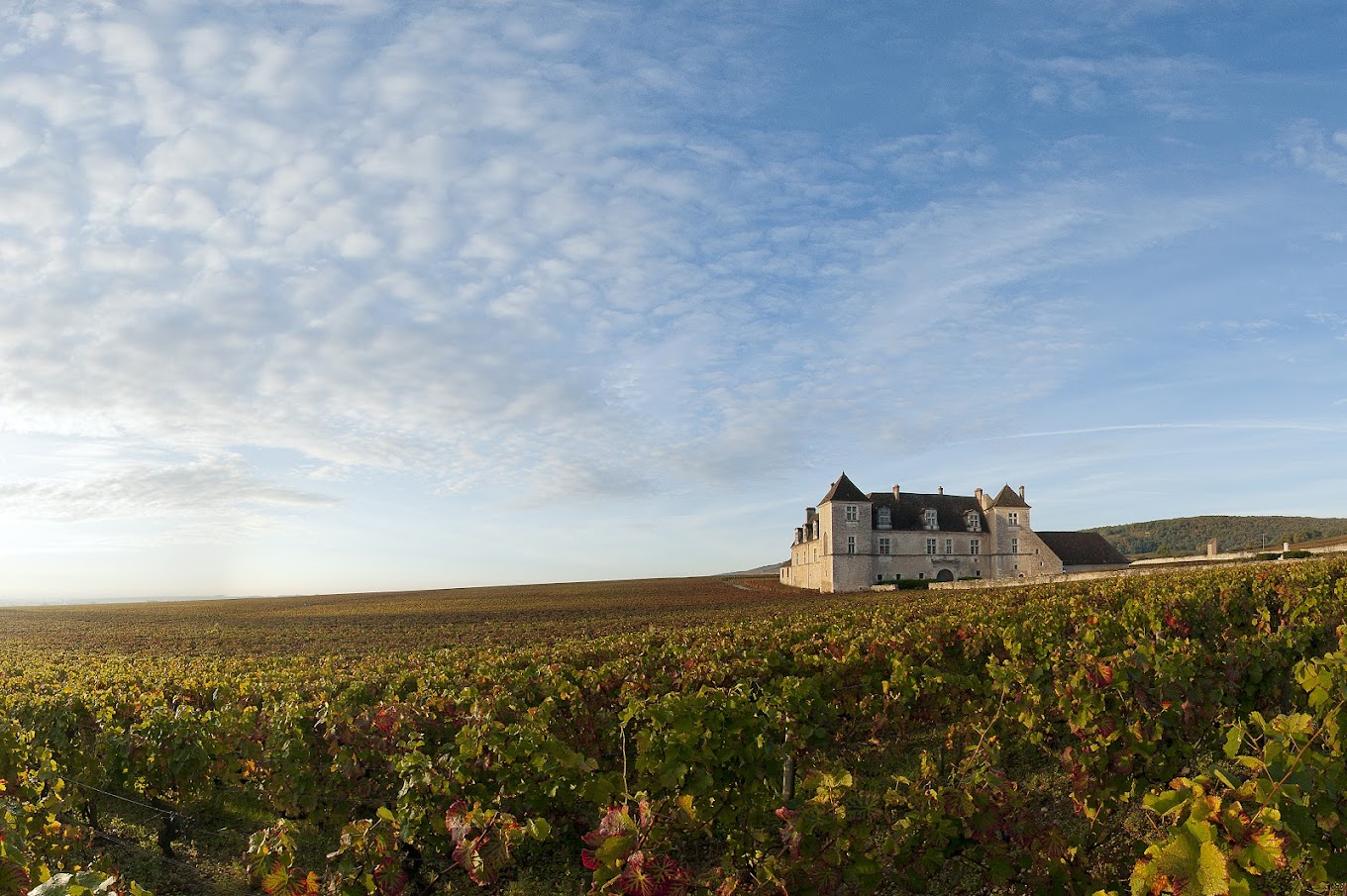 Discover Burgundy &amp; Alsace – Premium Adventure