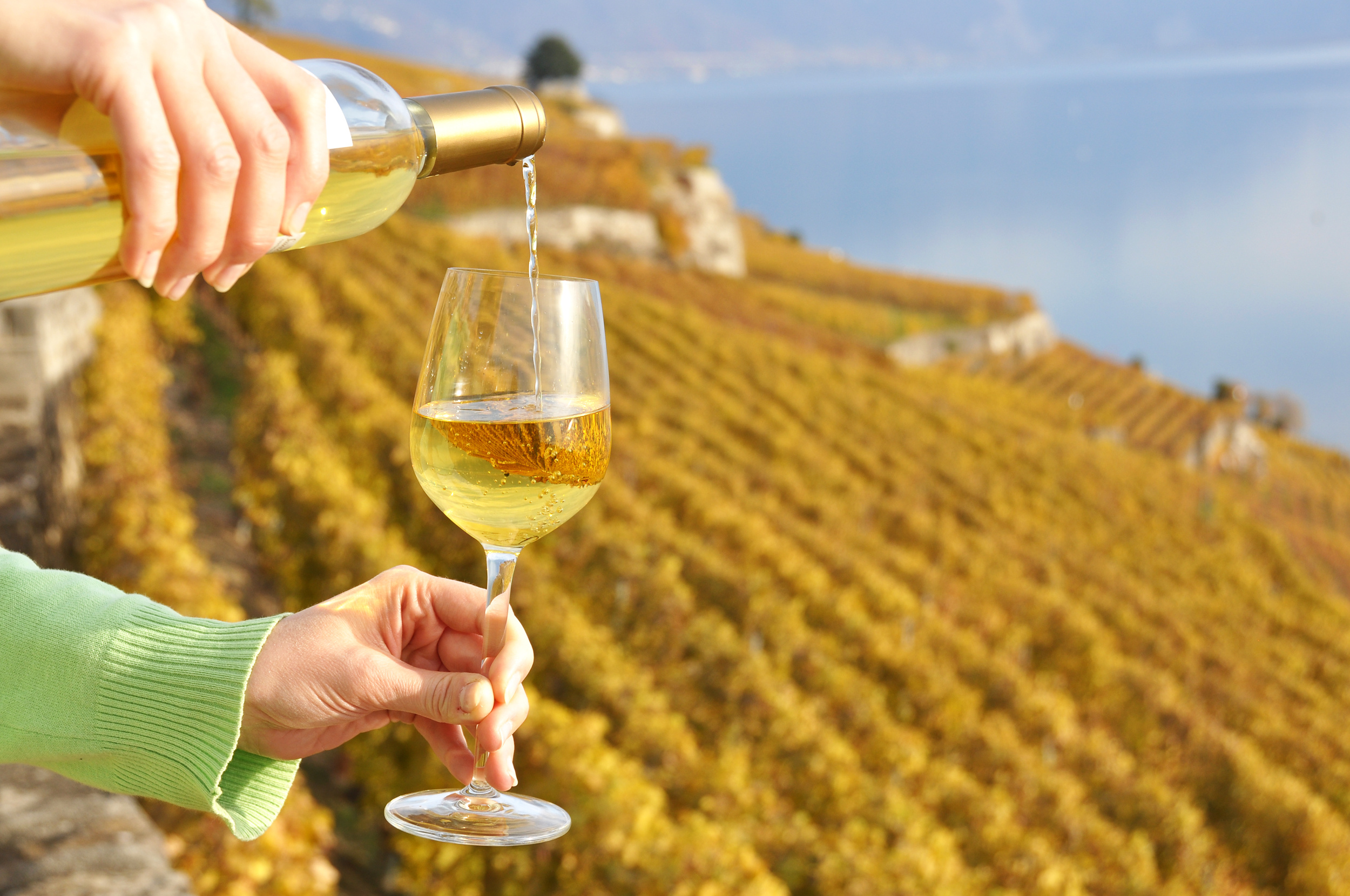 Discover Switzerland by Rail