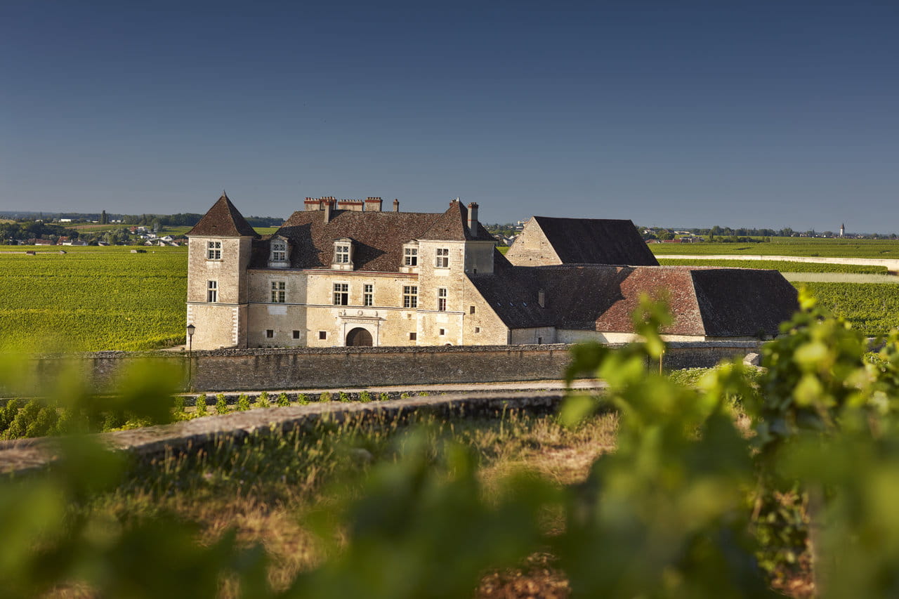 Discover Burgundy & Alsace – Premium Adventure