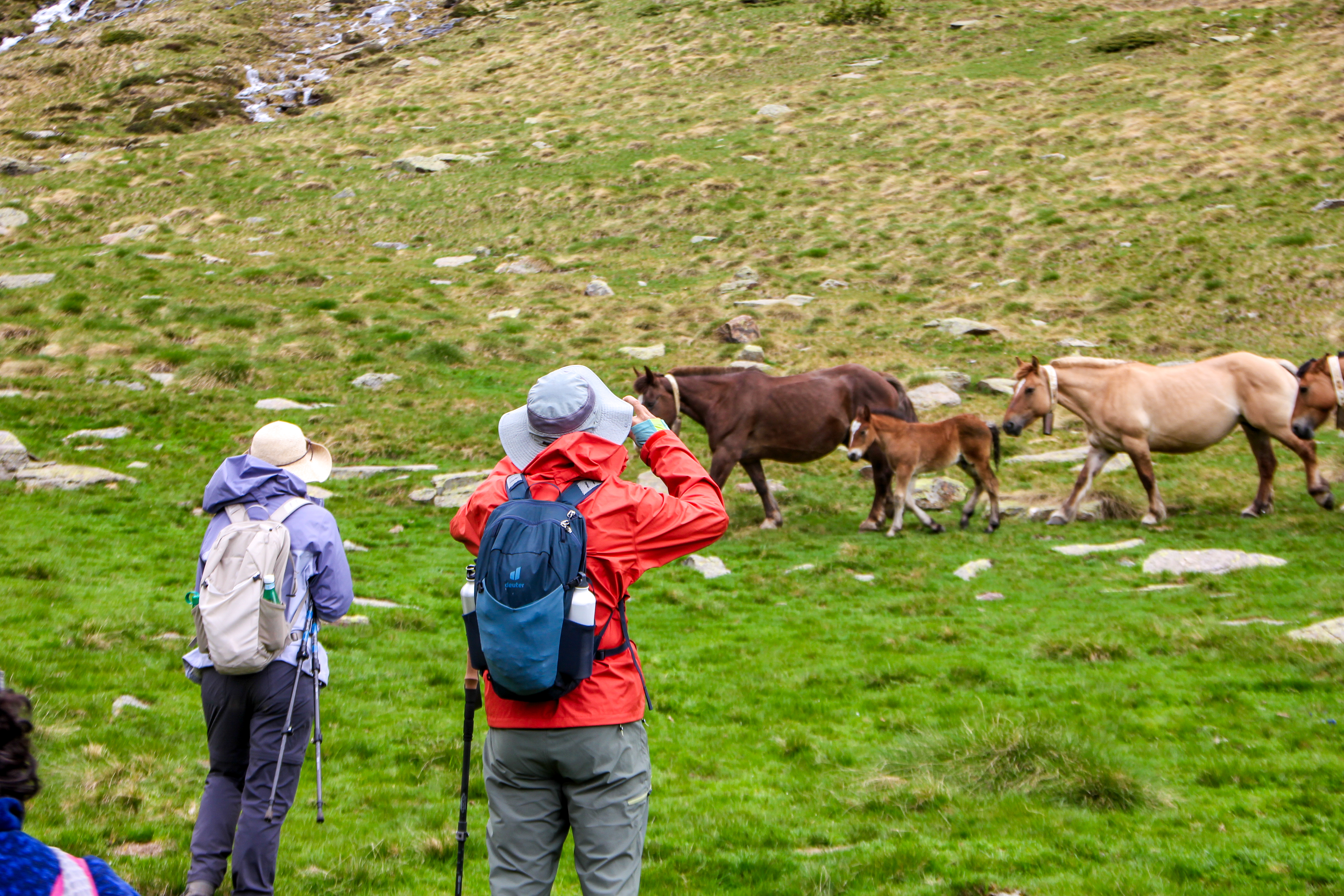 Walking in Andorra