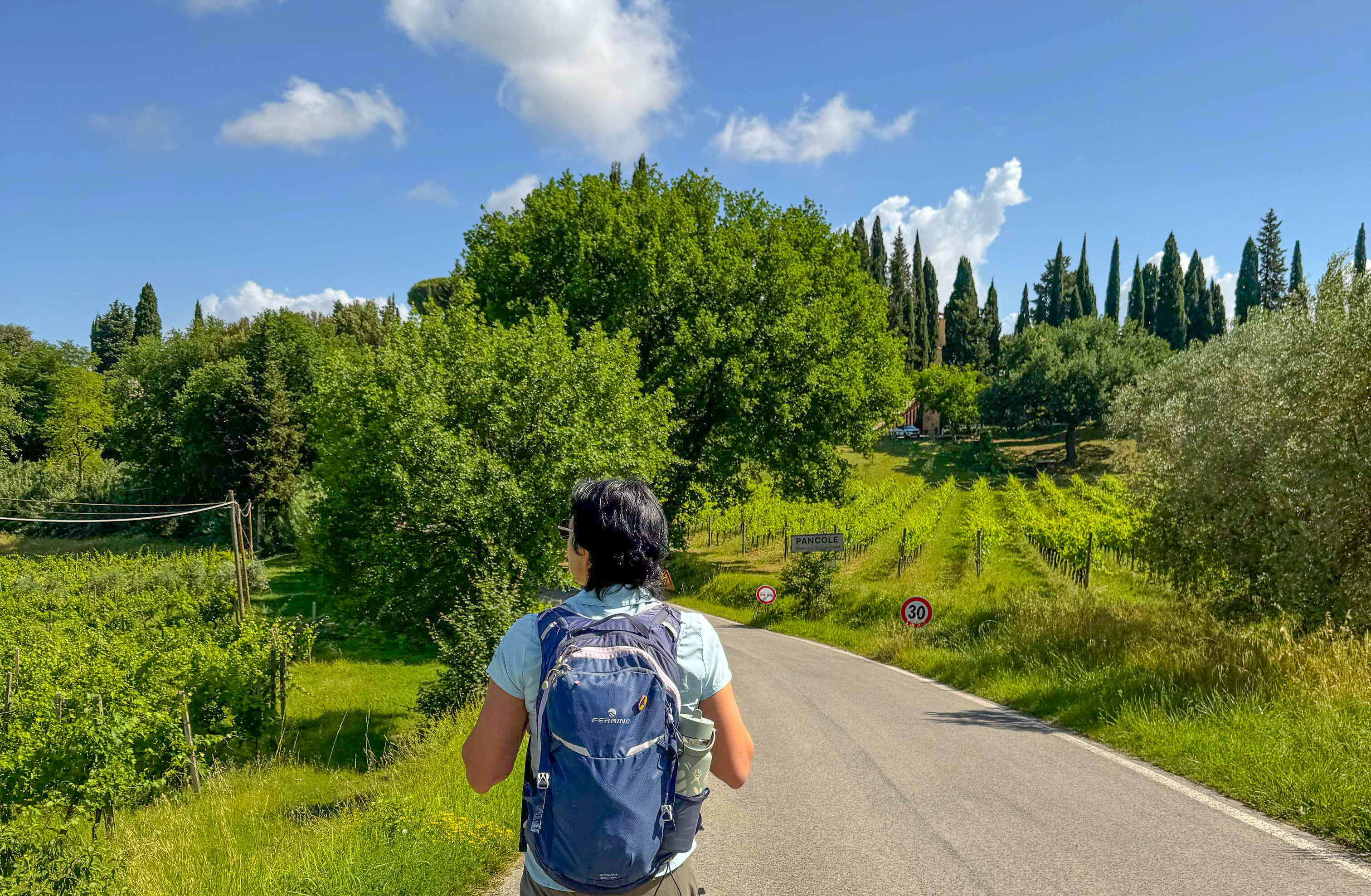 Tuscany Walks &amp; Chianti Wines
