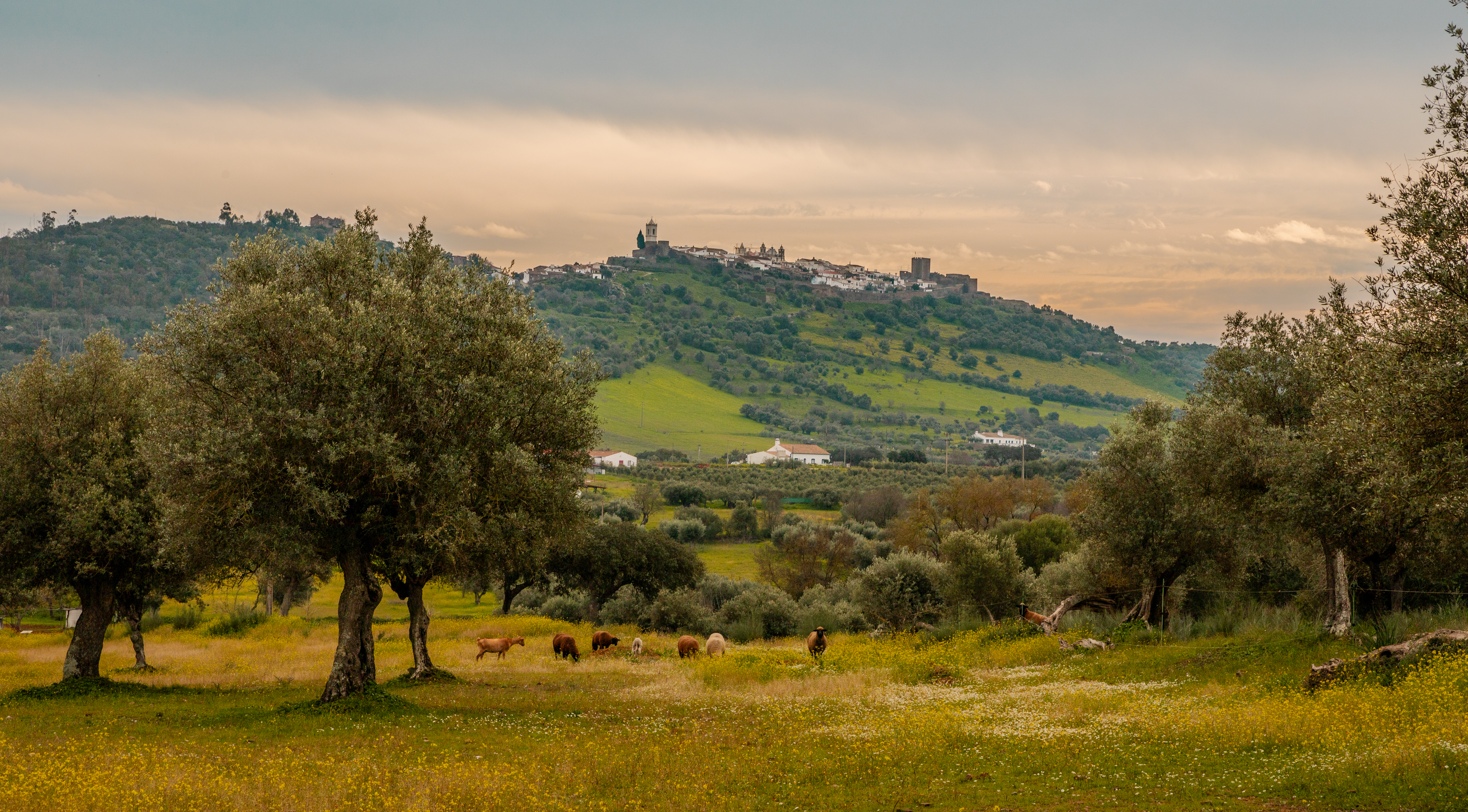 Signature Portugal | Alentejo’s Land & Legacy