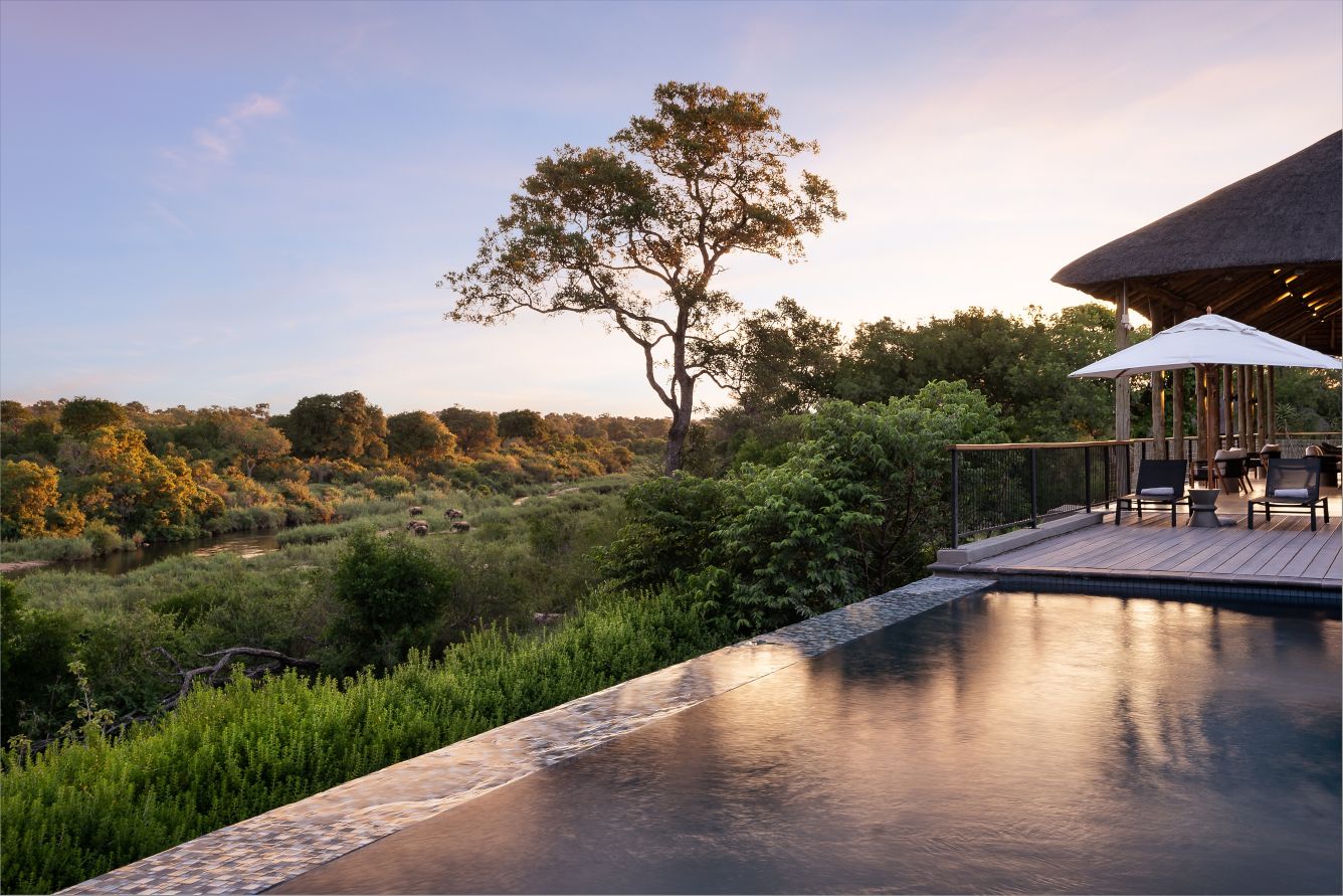 Signature South Africa | Across the Wild Plains