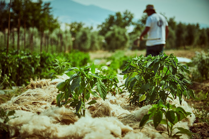 Signature Italy | Allure of Renaissance Tuscany