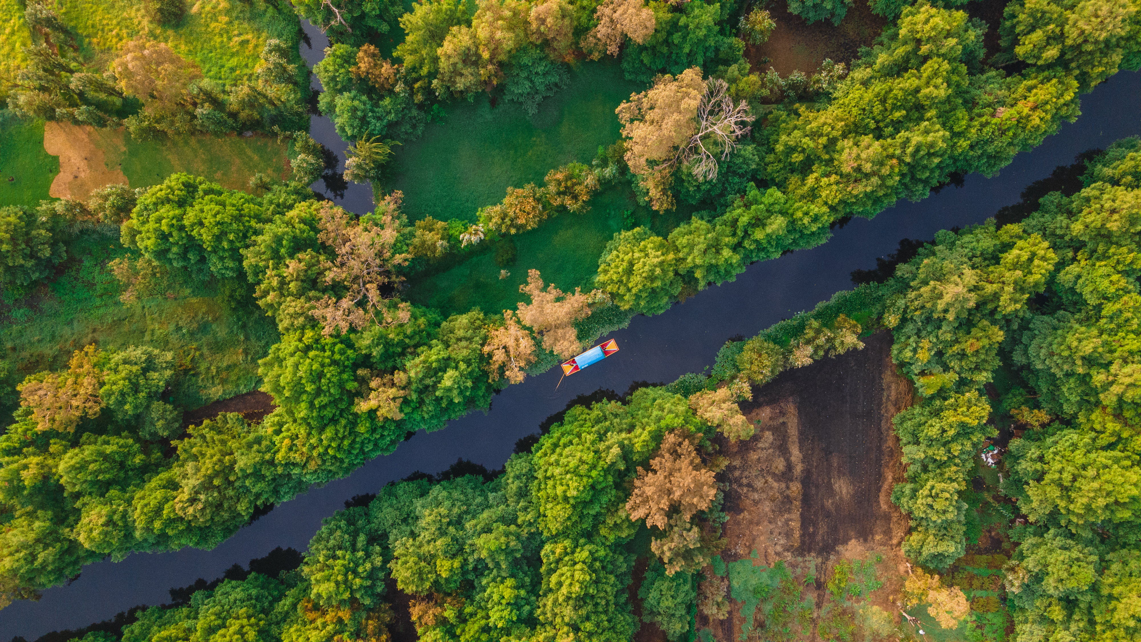 Signature Mexico | Among Ruins &amp; Ritual