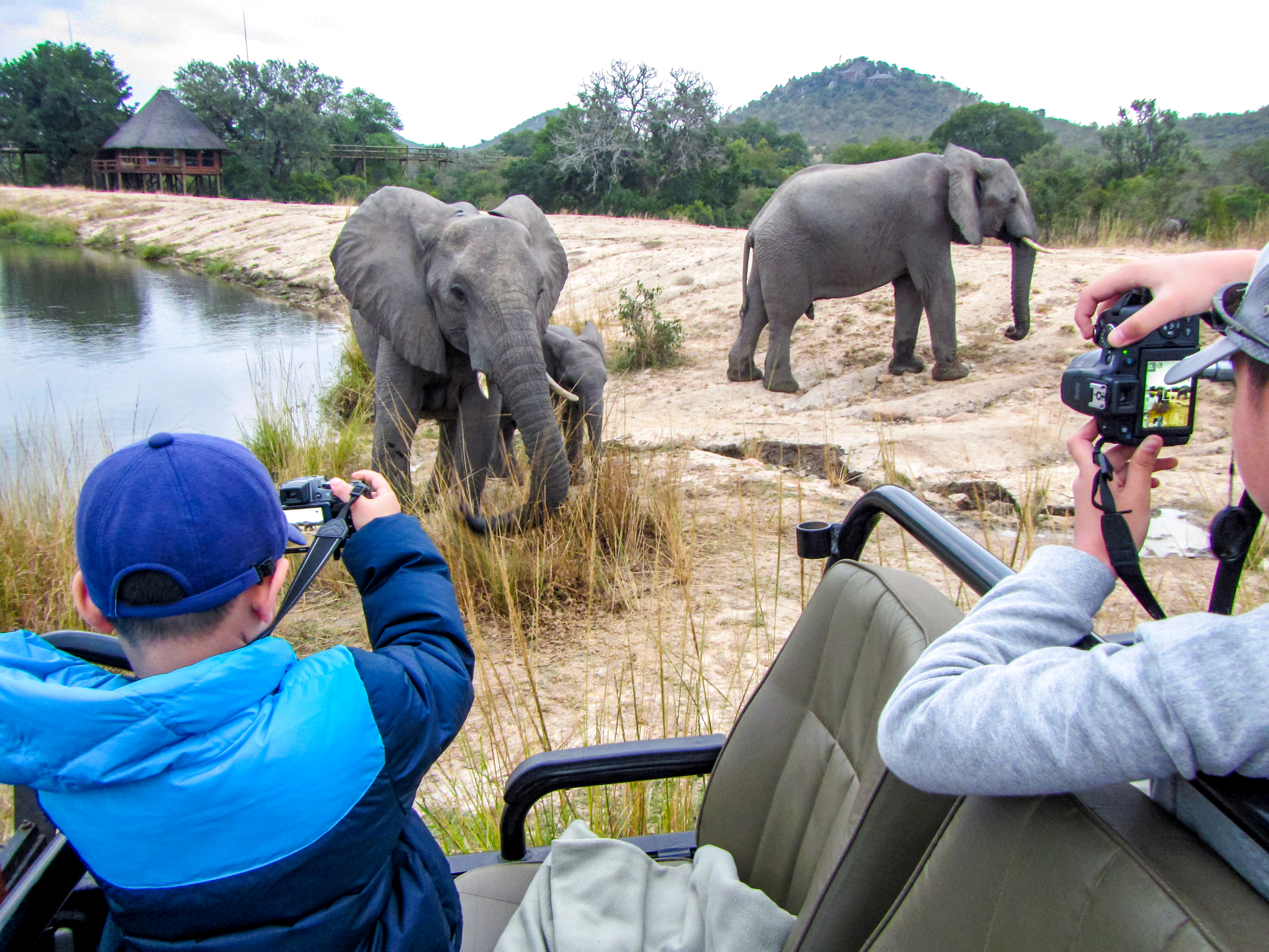 Essential Kruger Safari - Family Adventure