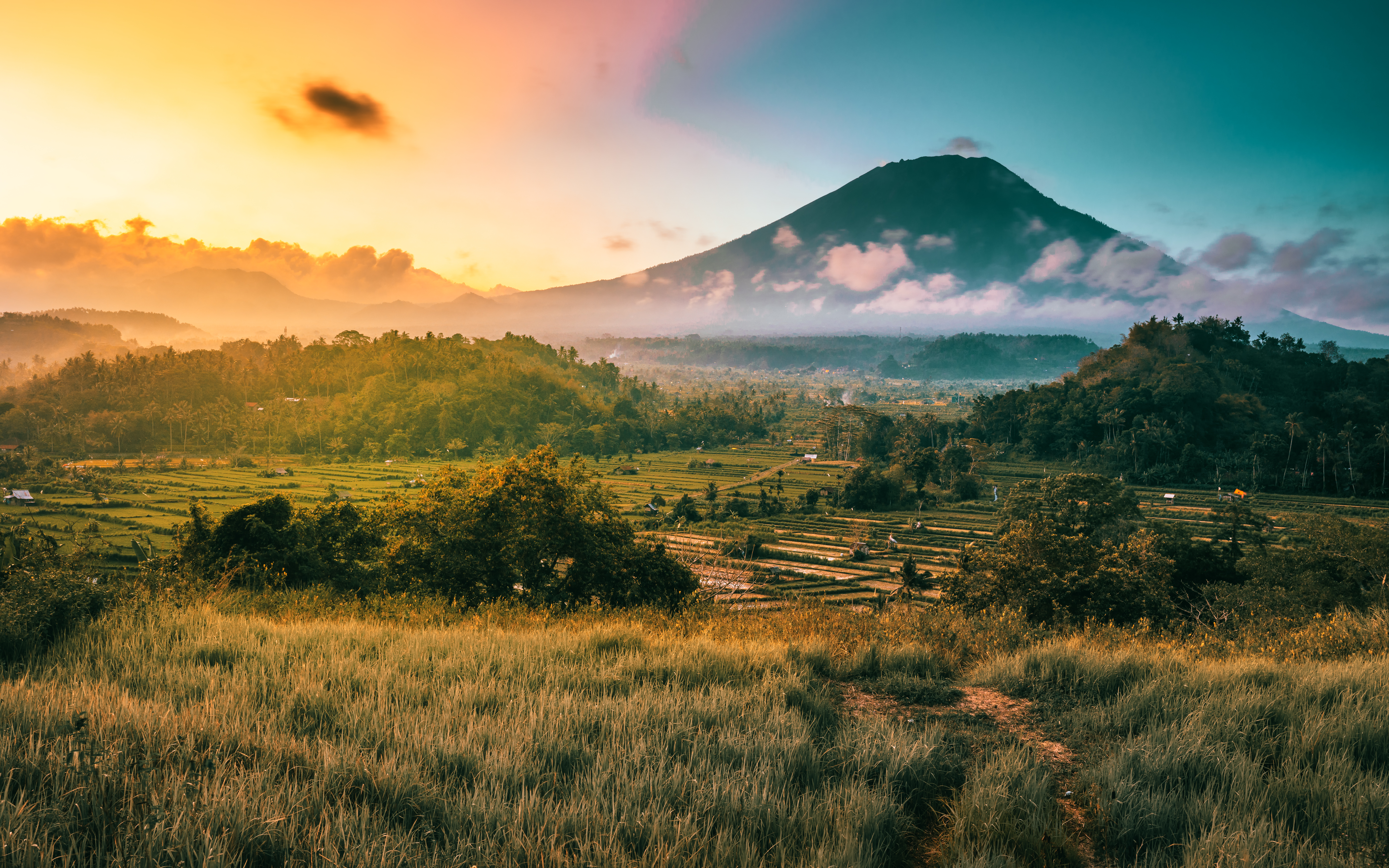 Signature Indonesia | The Sacred Wild Isles