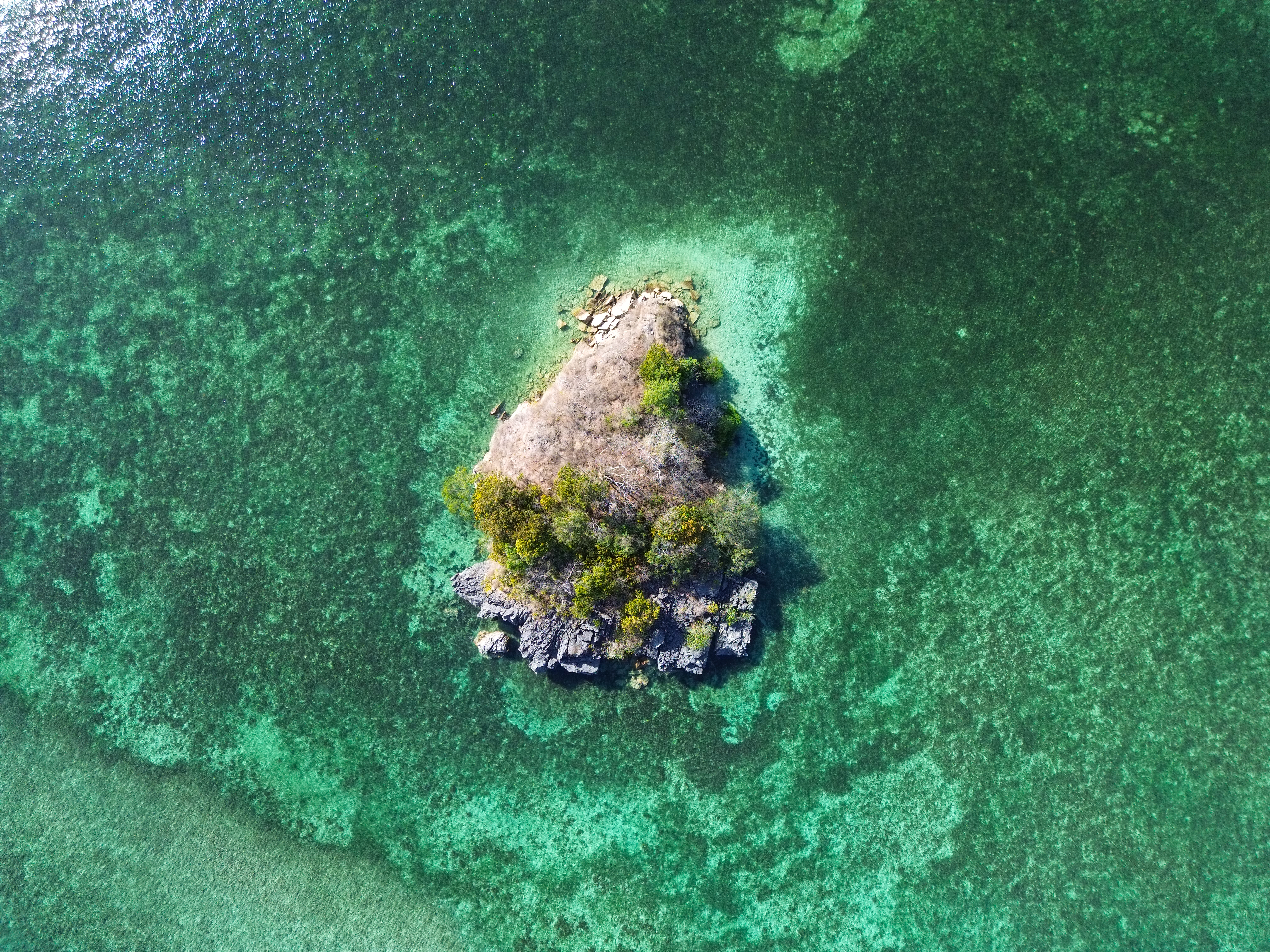 Signature Indonesia | The Sacred Wild Isles