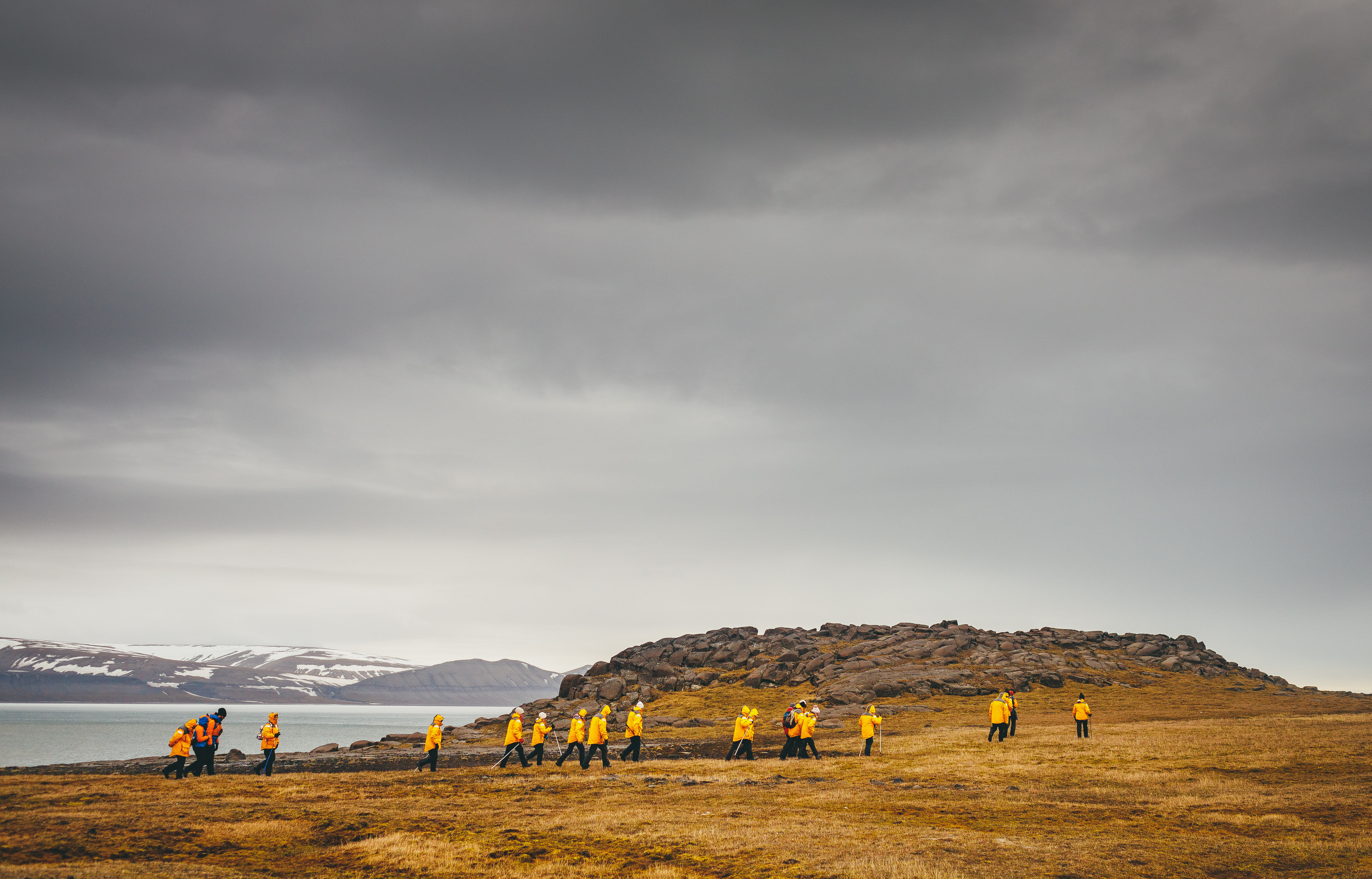 Svalbard in Summer: Tundra, Wildlife and the Midnight Sun