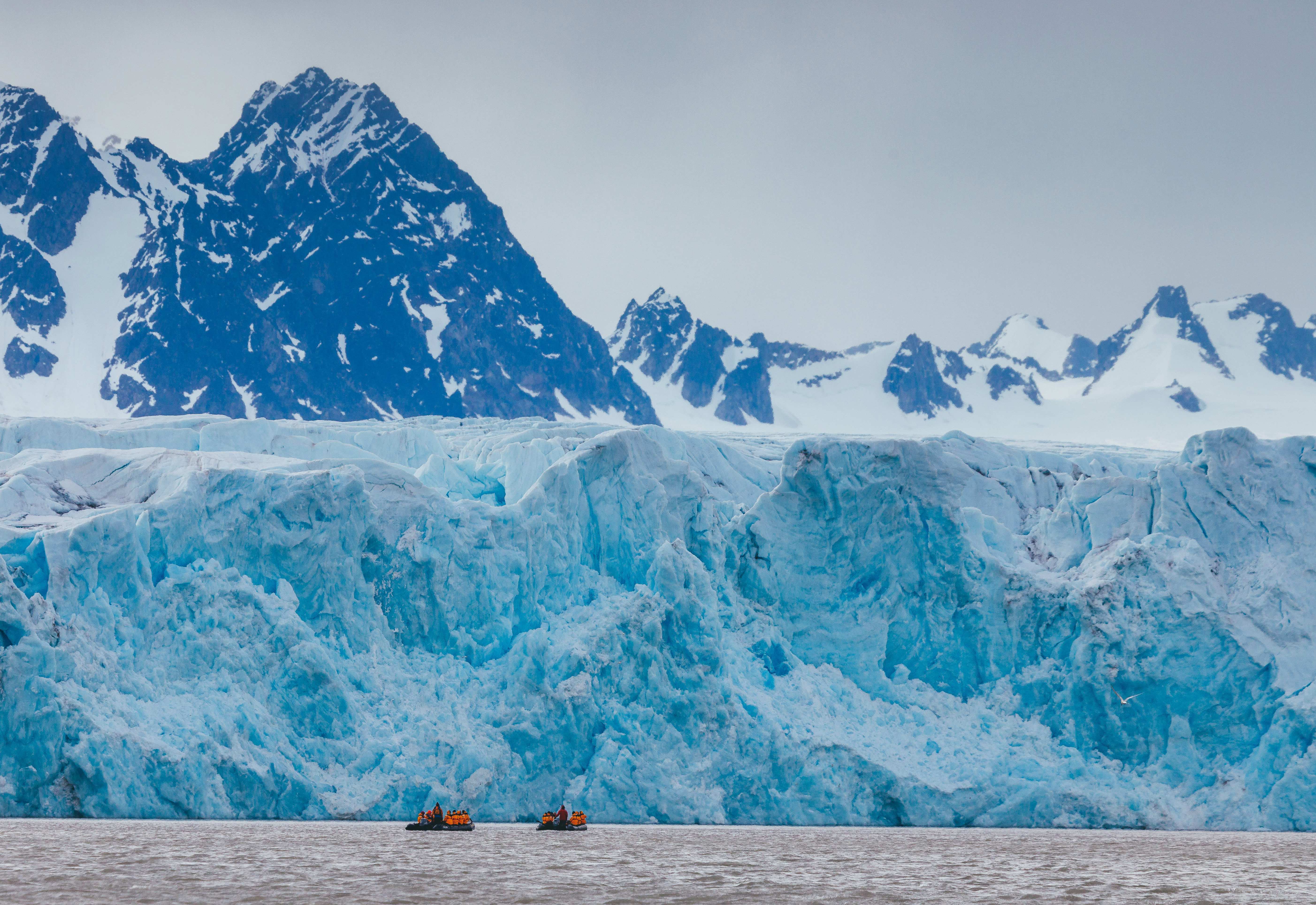 Spitsbergen Highlights: Wildlife Capital of the Arctic