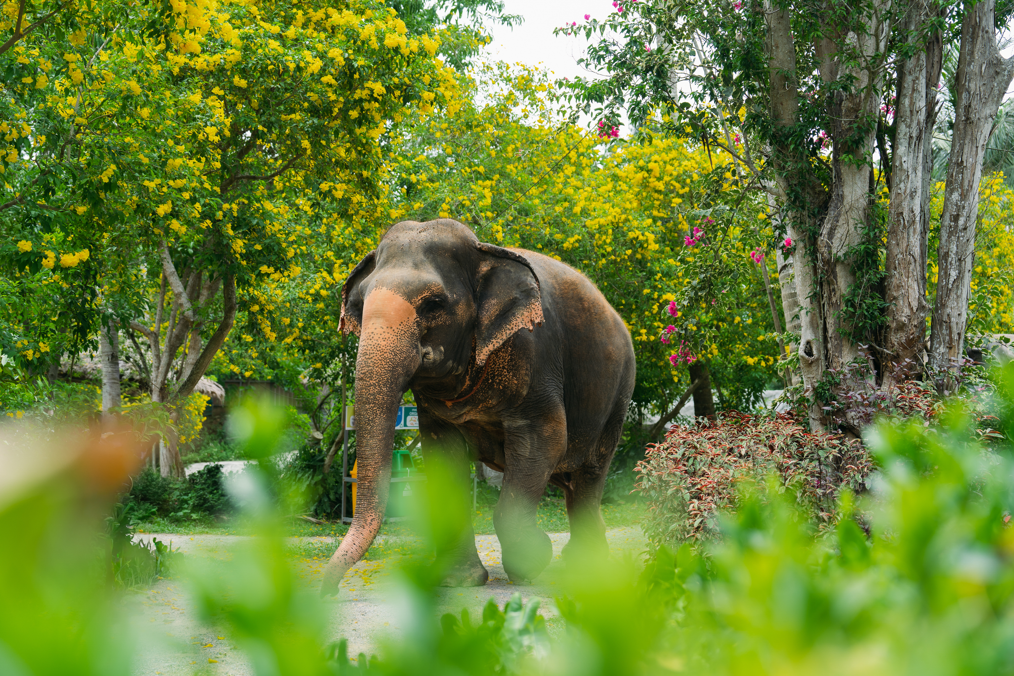Signature Thailand | Karsts, Culture &amp; Coast