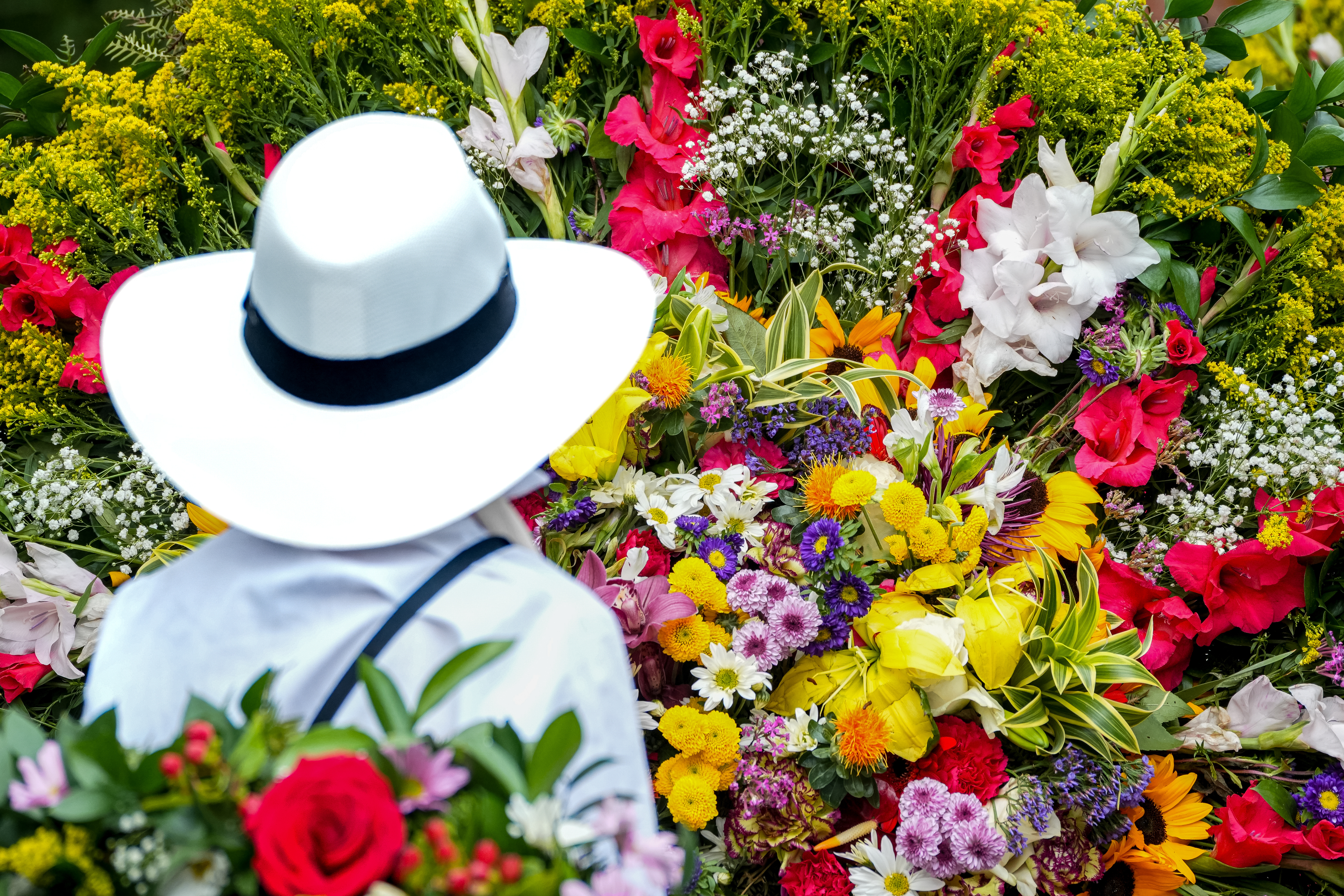 Colombia: Culture, Coffee & Caribbean - Medellin Flower Festival